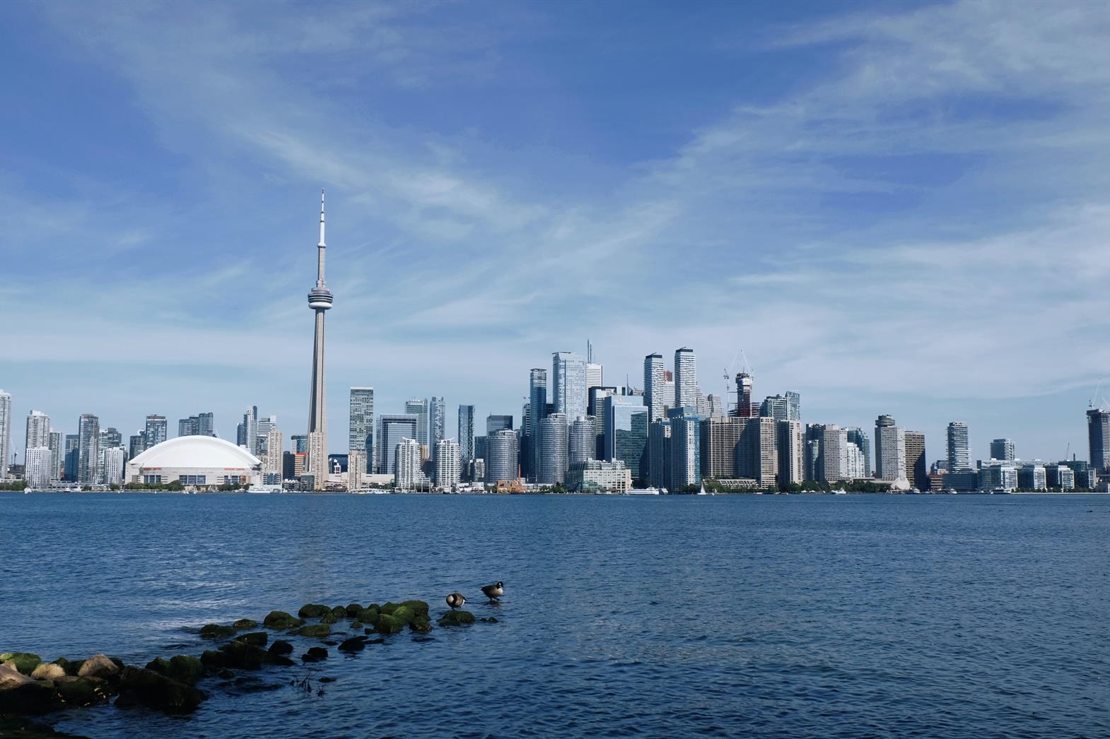 Toronto city skyline