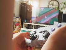 Video Game Use is Associated With Problem Behaviours in Boys With Autism