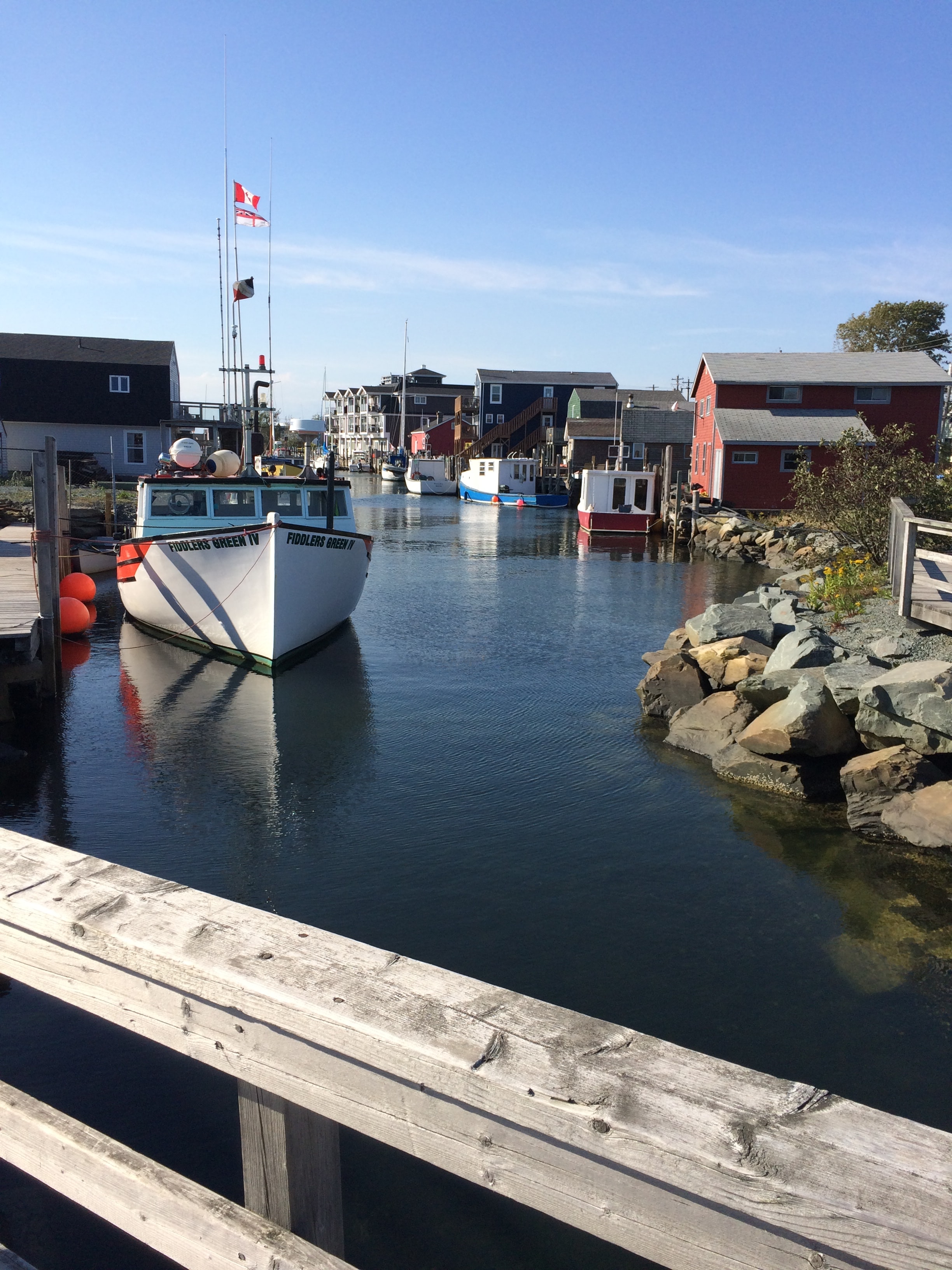 White boat floating next to a dock in Halifax