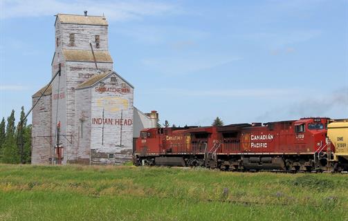 Saskatchewan Collection