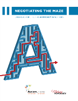 Negotiating the Maze Strategies for Effective Advocacy in Schools