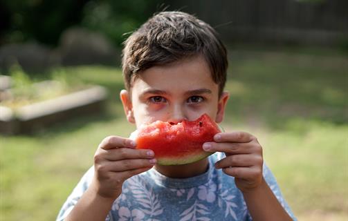 Feeding Differences in Autism Toolkit